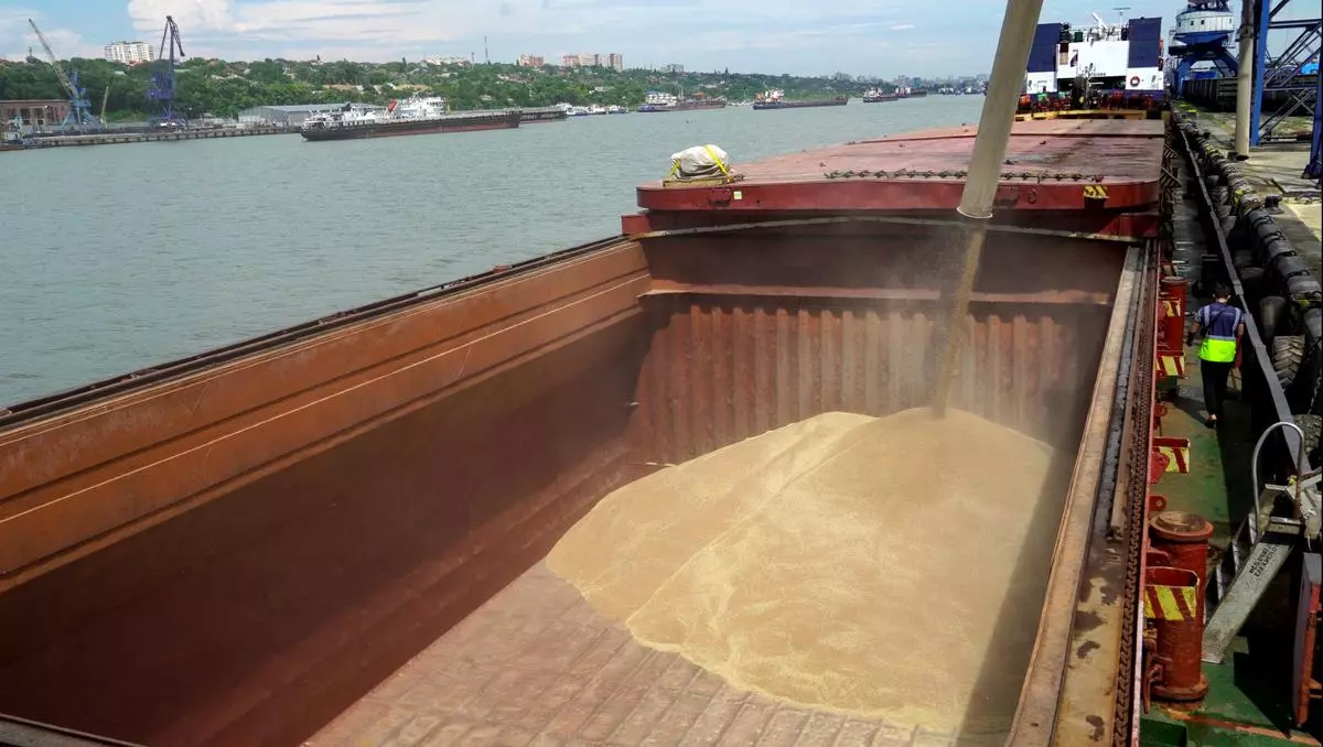 The UN-backed Joint Coordination Centre in Istanbul has so far authorised the departure of 12 vessels carrying over 370,000 metric tonnes of grain