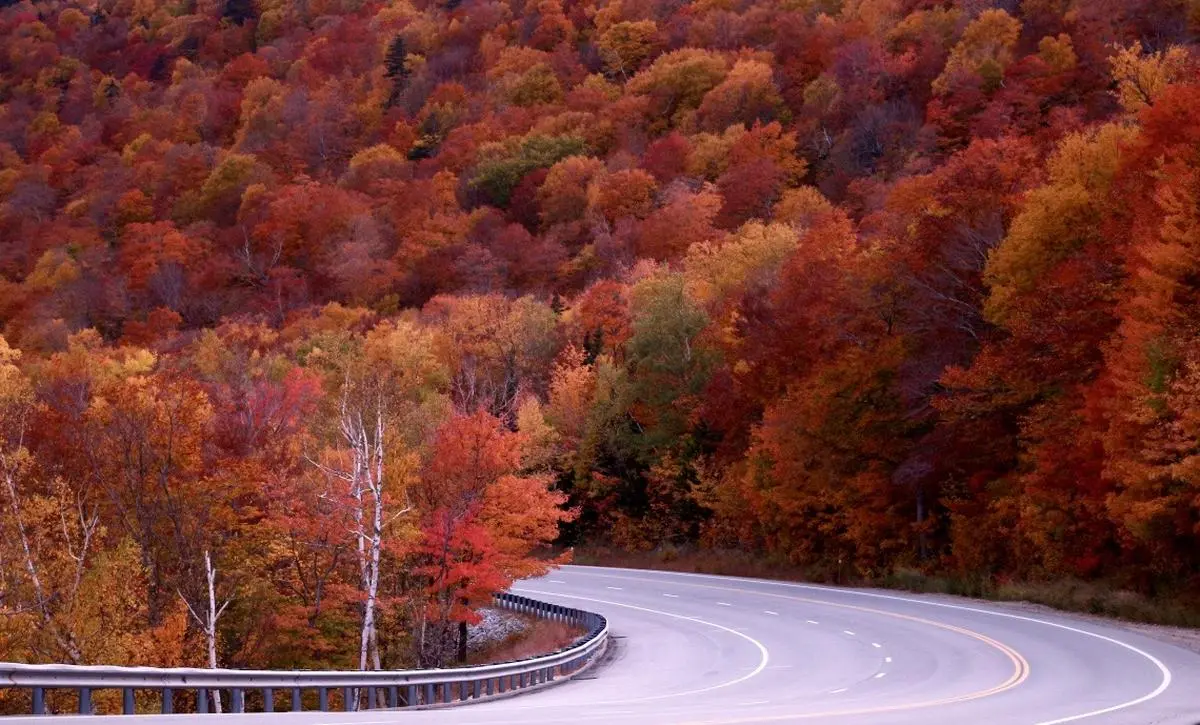 Fall In India: A Colorful Journey Through Autumn Splendor