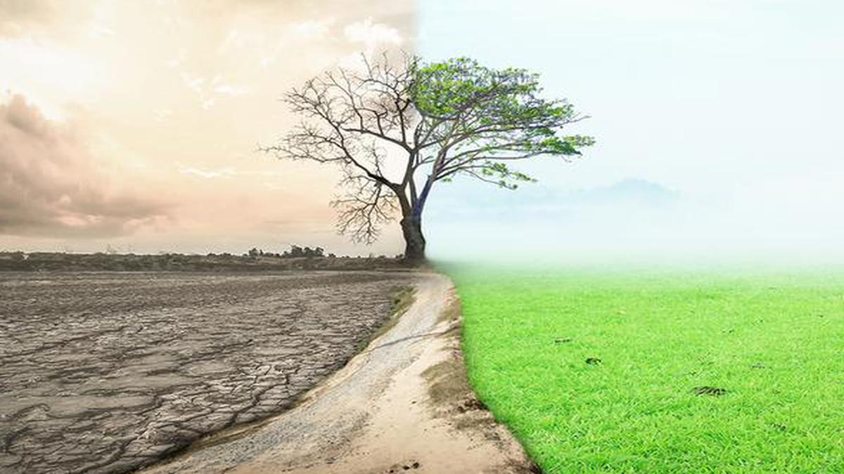 Paris Agreement: Study says India could see 30 fewer hot days every year