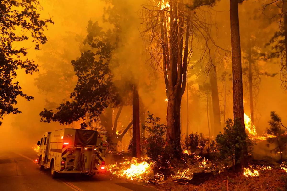 The Oak Fire burns near Darrah in Mariposa County, California, US, July 23, 2022. REUTERS