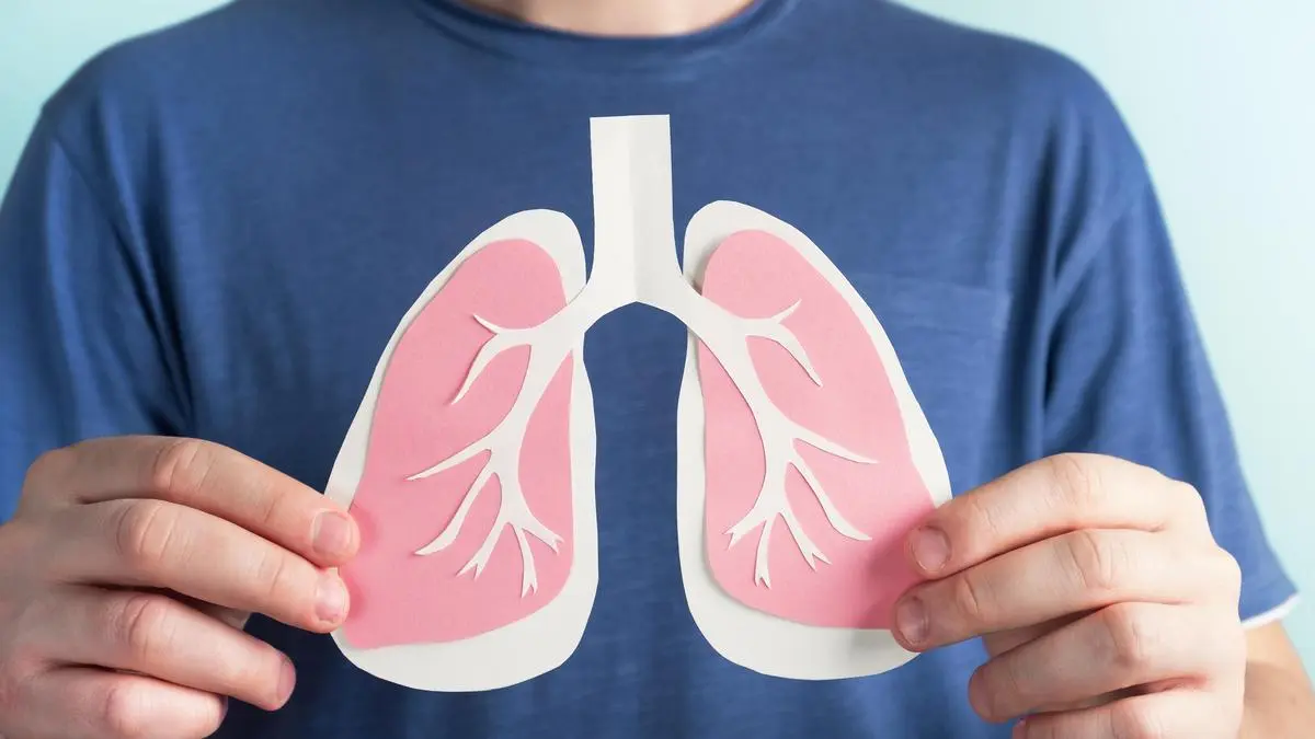 The hidden genius of our lungs