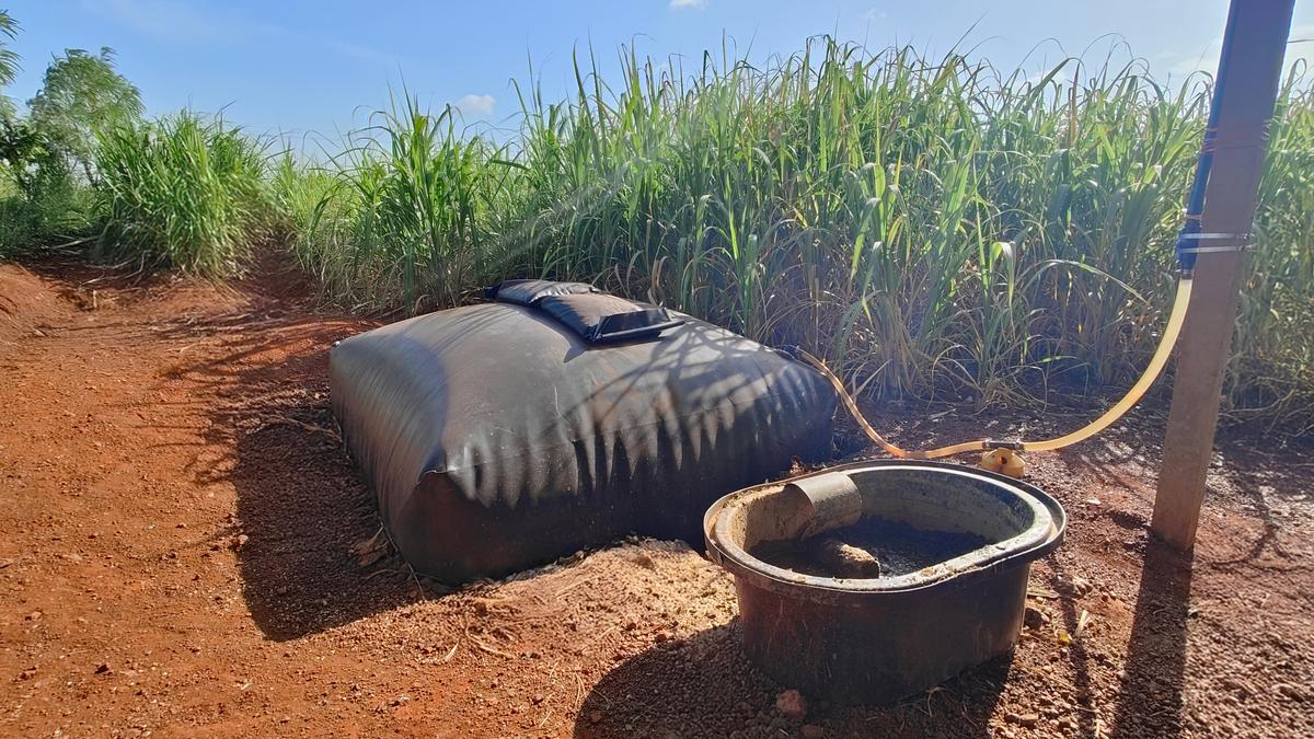 How farmers can drive income and rural employment via multi-waste biogas plants