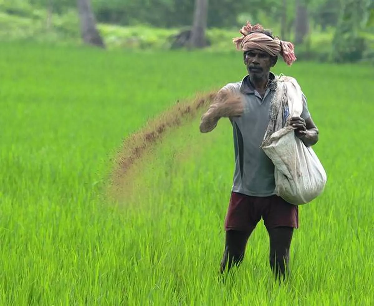 The ruinous impact of chemical farming - The Hindu BusinessLine