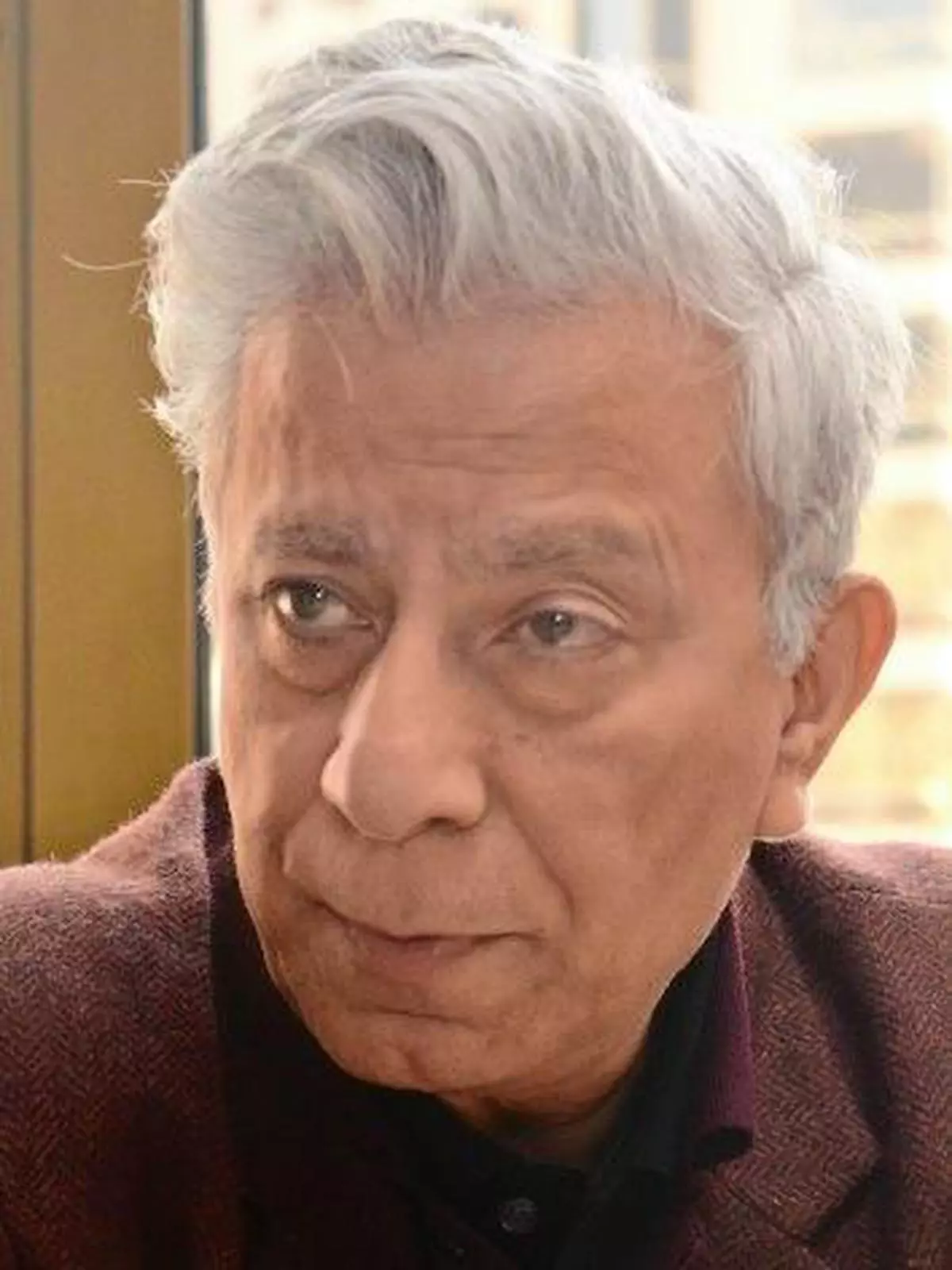 Sociologist Dipankar Gupta