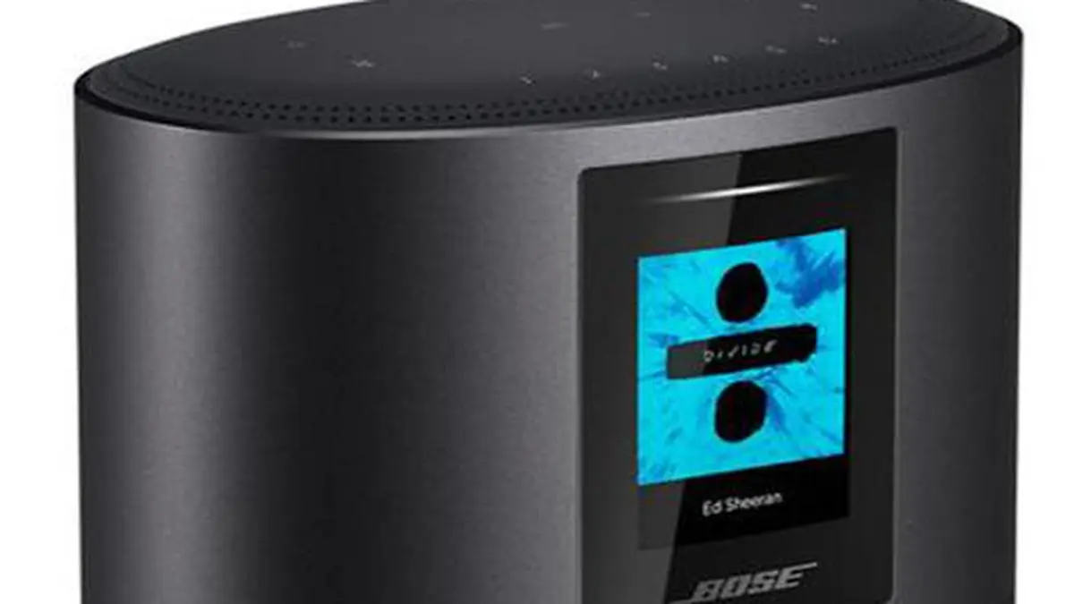 Bose home speaker 500 sales offline