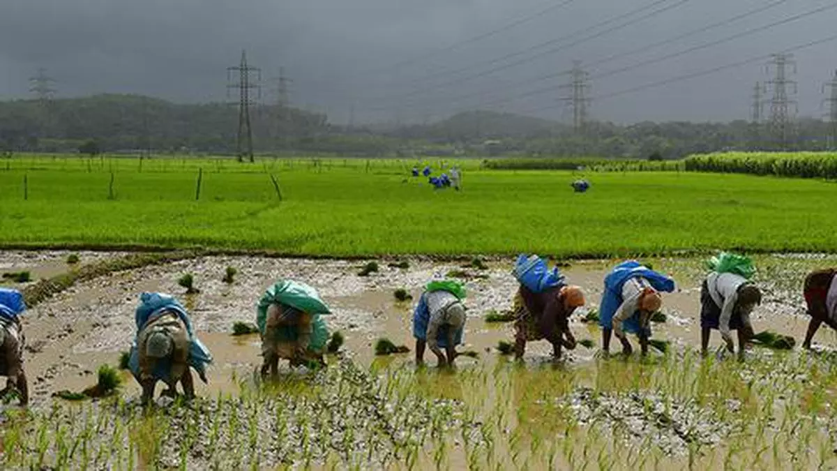 Can precision agriculture unlock the potential of crops?