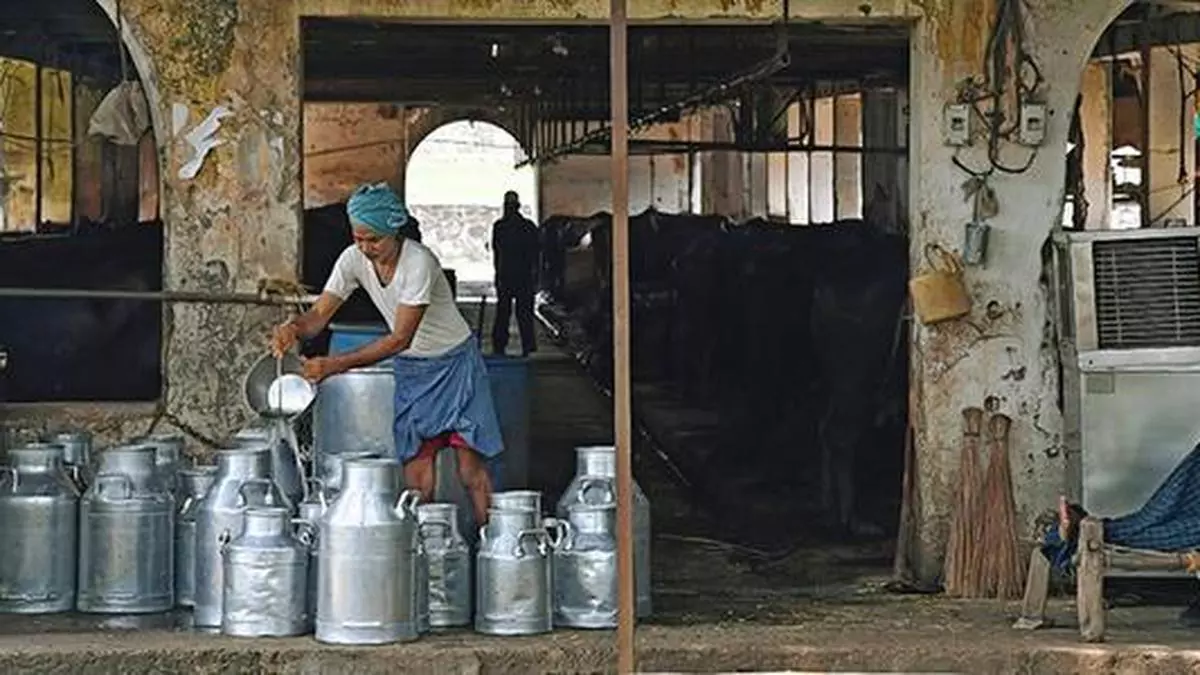 Dairy Farming: Transforming waste into biogas, fertilisers & zero-waste ...