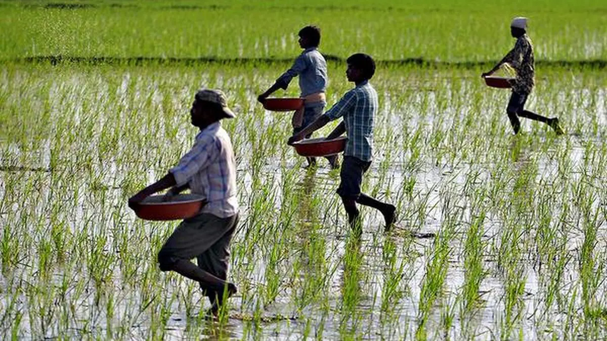 How digital infrastructure is linking farmers more directly to markets and finance