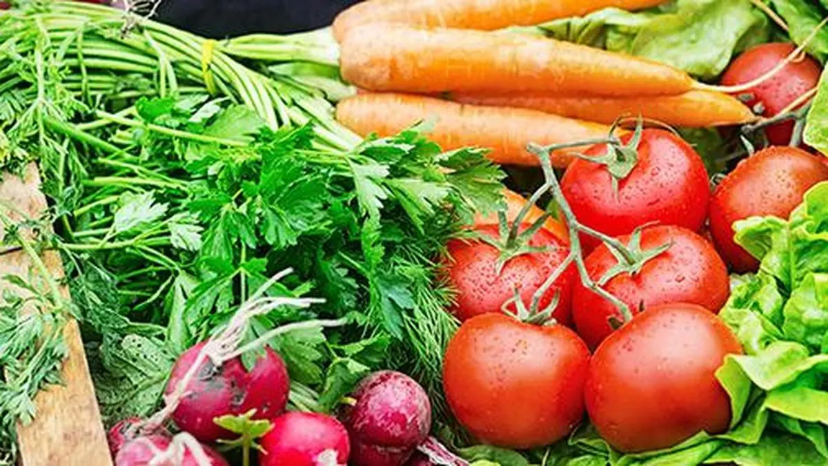 In a ‘SIR’ moment, Apeda makes 100% verification of Indian organic farmers a must