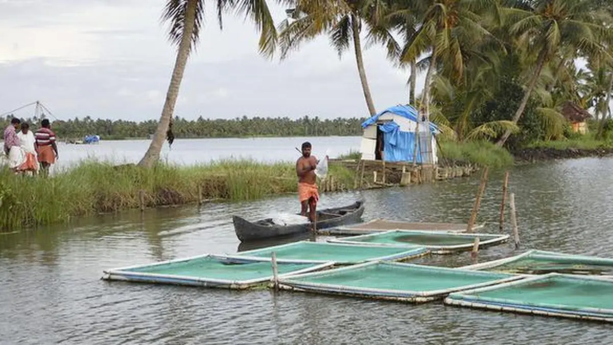 Kings Infra signs ₹2,500-cr aquaculture tech park deal with Andhra Pradesh