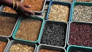  The Centre’s extension of duty-free imports for tur (pigeon pea) and yellow peas till March 2026 has triggered a steep fall in pulse prices, raising concerns over India’s Atma Nirbhar ambitions.