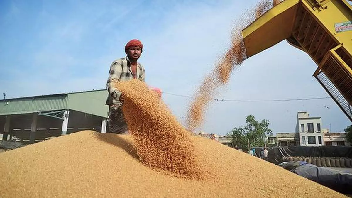 Open market sale of wheat unlikely to start this month - The Hindu ...