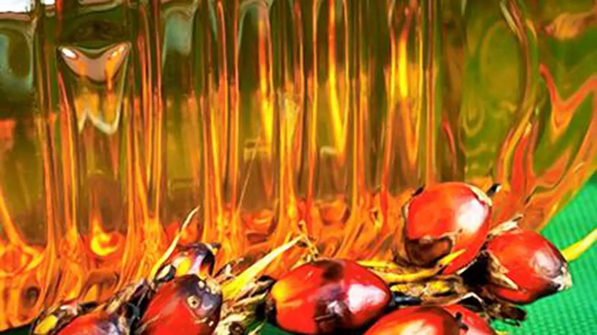 Social and environmental practices in oil palm industry in India