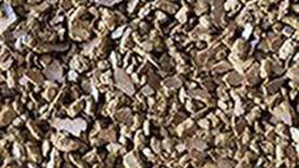 India’s oilmeal exports to China surge over 20-fold amid competitive pricing