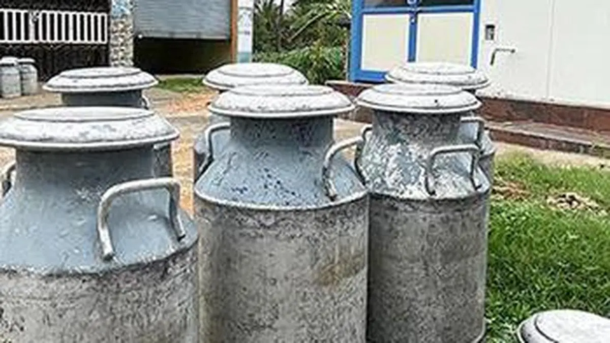 Milk supply uninterrupted, prices of milk and dairy items stable amid West Asia conflict: Govt