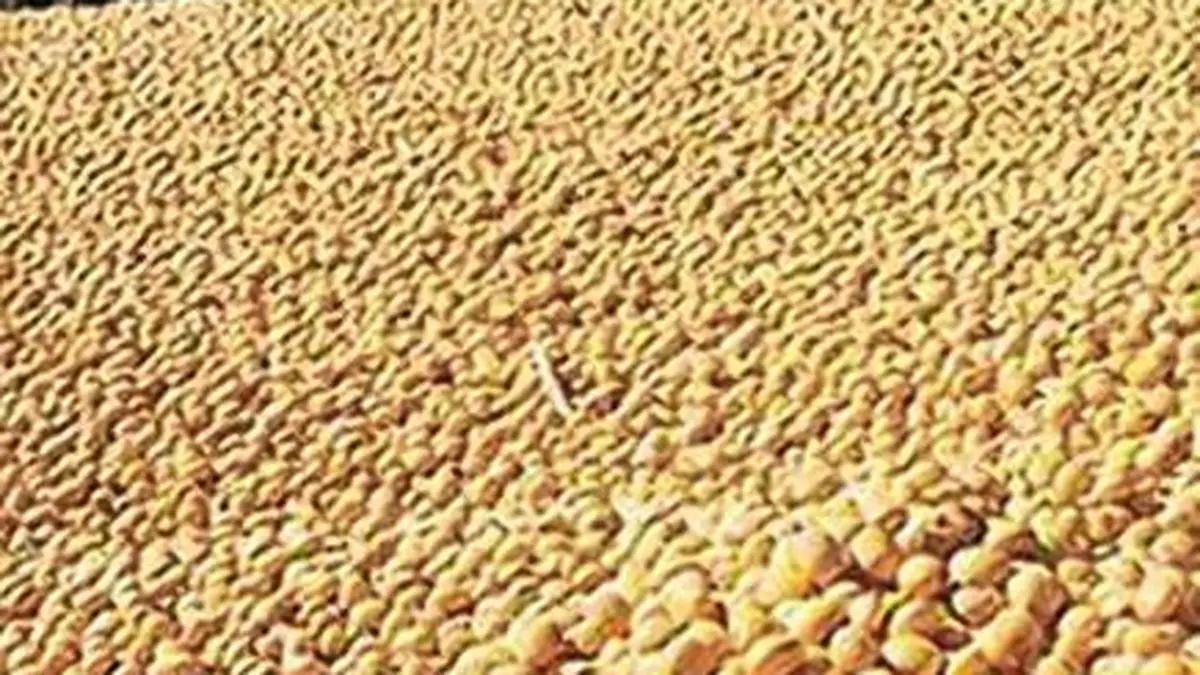 Iran war impacts Indian oilmeal exports