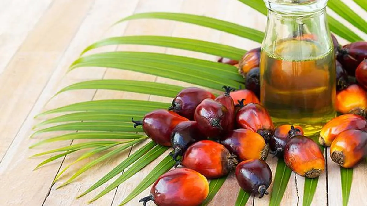 Telangana wants the duty on crude palm oil to be increased