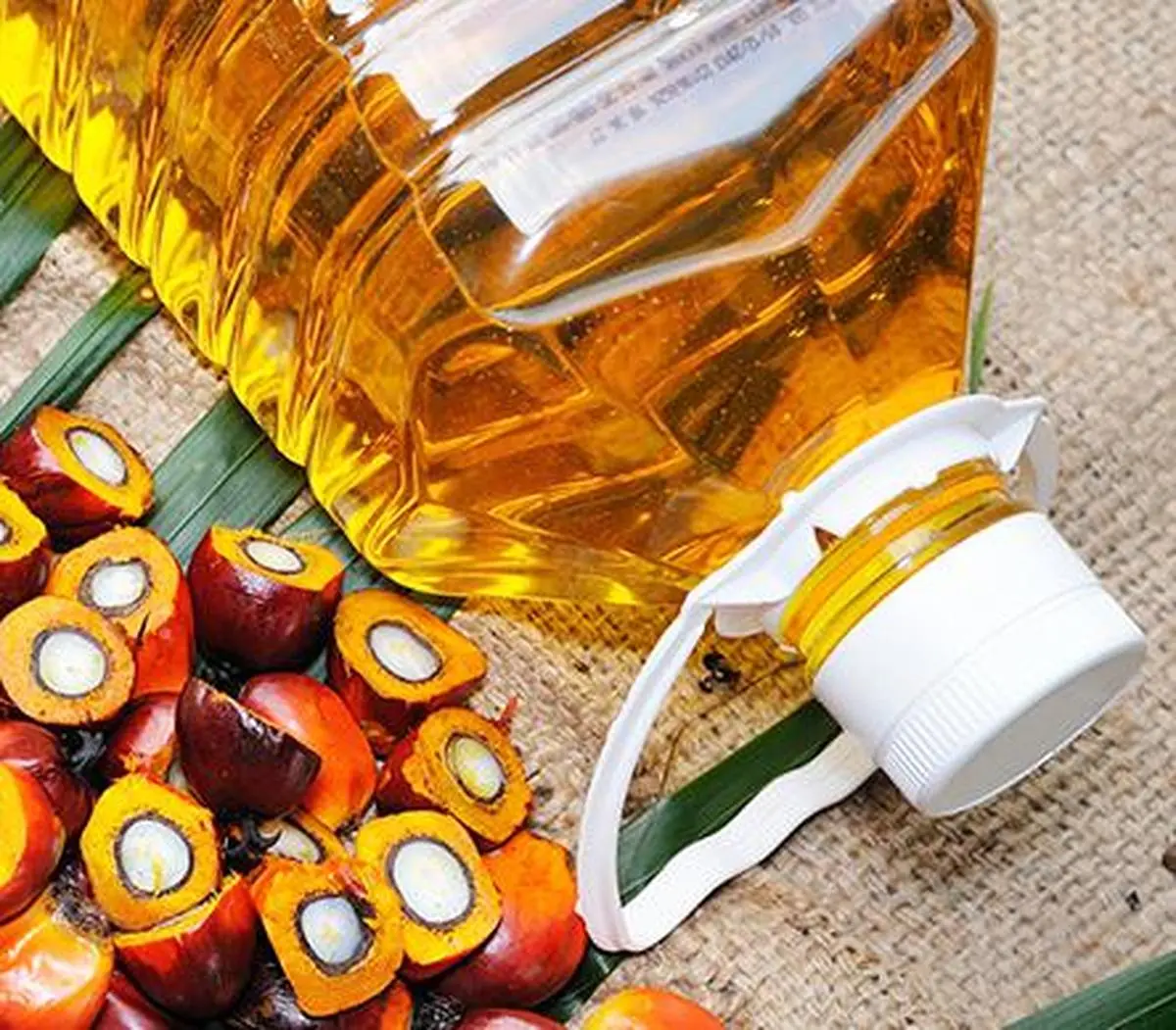 With storages overflowing, Indonesia to lift palm oil export ban from May 23 The Hindu