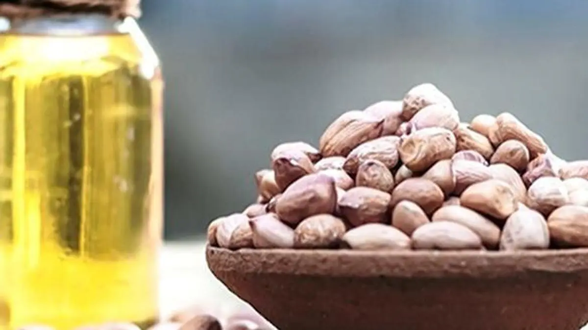 India’s 2026-27 peanut output may rise 3% on higher area