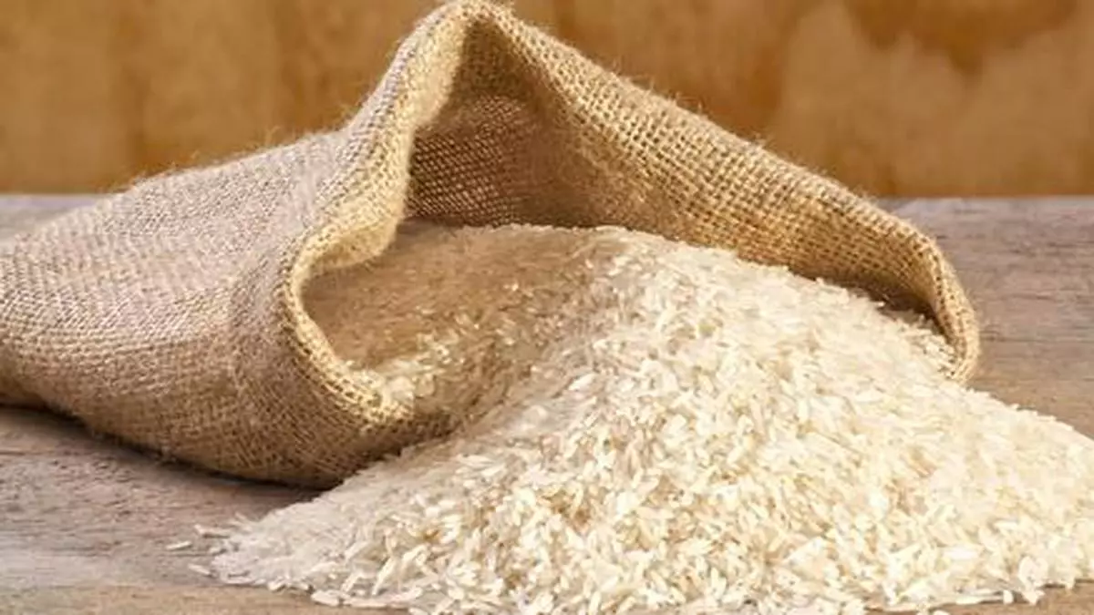 India's broken rice export ban criticised by the US, EU, Senegal at WTO -  The Hindu BusinessLine