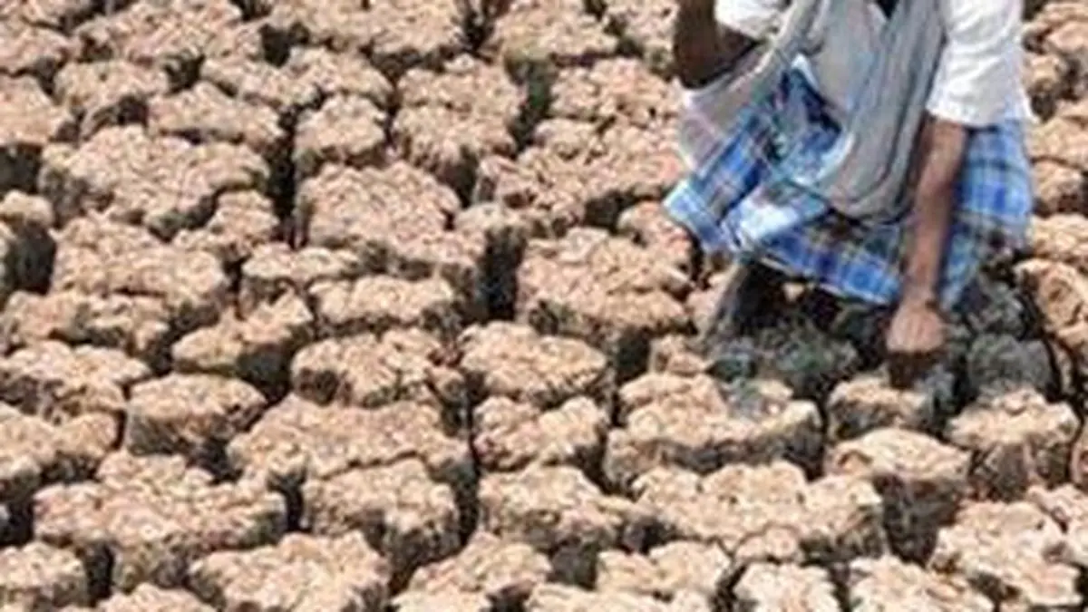 L’India è tra i primi tre paesi per rapporto sui sinistri assicurativi sui raccolti