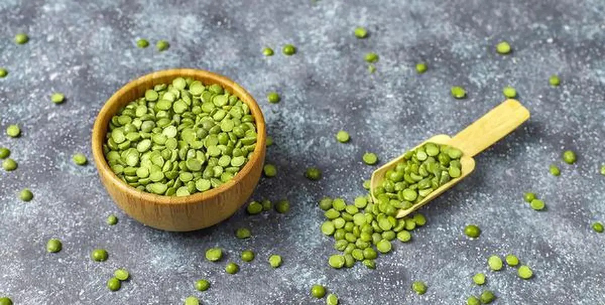 thehindubusinessline.com - Kerala Agri Varsity seminar explores future of alternative proteins