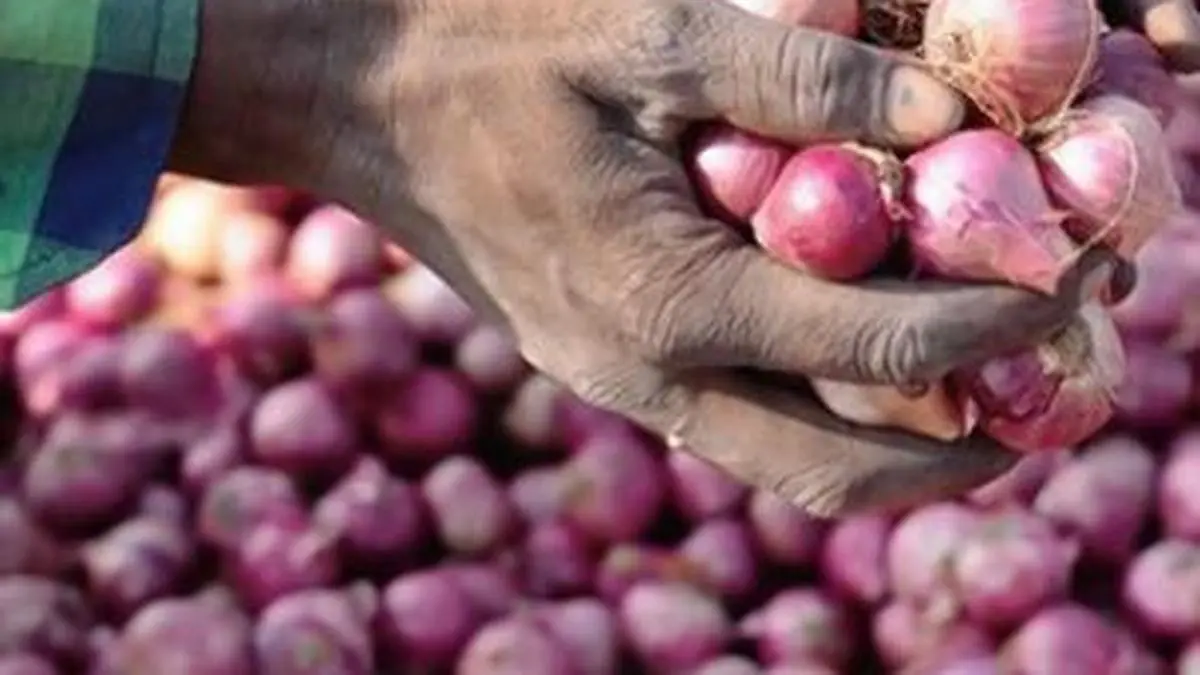 Onion prices rise as weather impacts kharif crop, arrivals get delayed