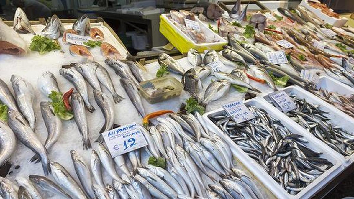 India’s seafood exports cross ₹72,325.82 crore in FY26 on shrimp led growth, market diversification