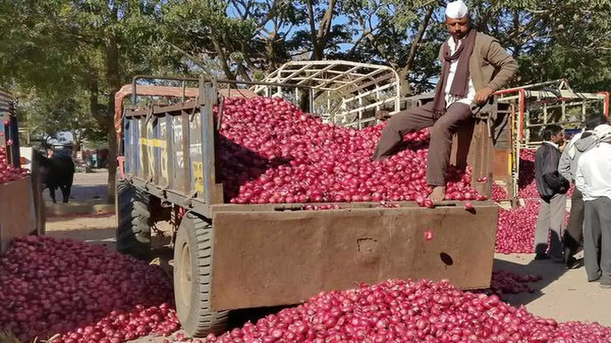 Covid-19: After lockdown, the Lasalgaon onion market starts functioning ...