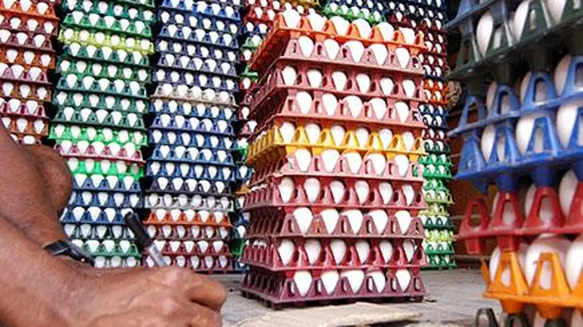 Freight surge, logjam hurts egg exports despite strong demand