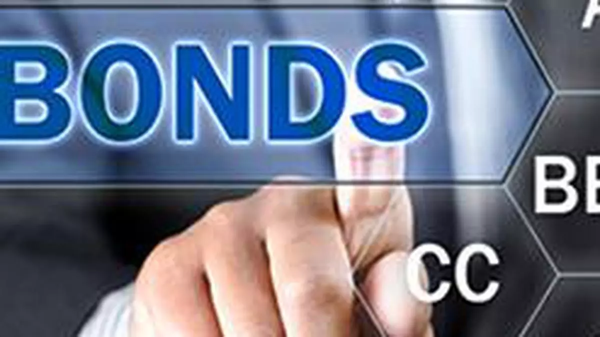 Exotic bonds-backed debt instruments becoming popular with investors ...