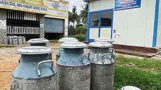 MURALI KUMAR K MURALI KUMAR K