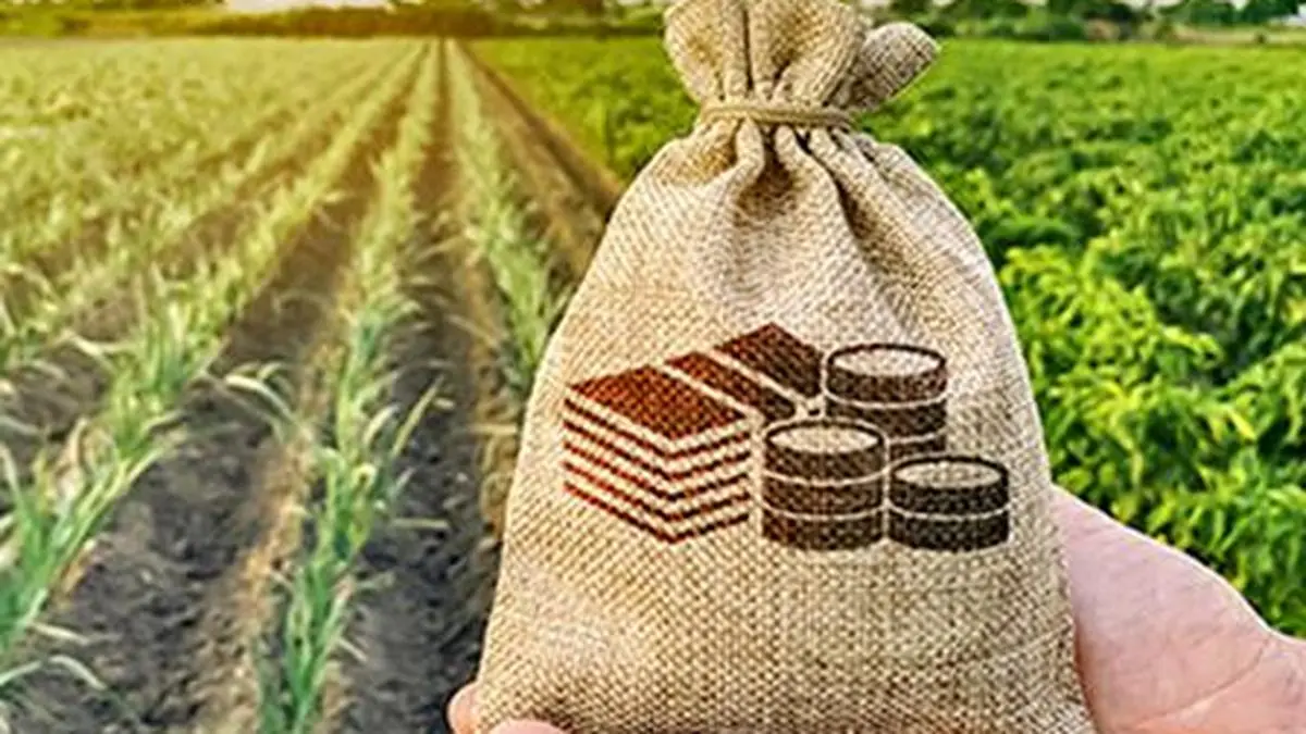 Railways, Military, FCI should buy food products from FPOs, recommends NAAS study