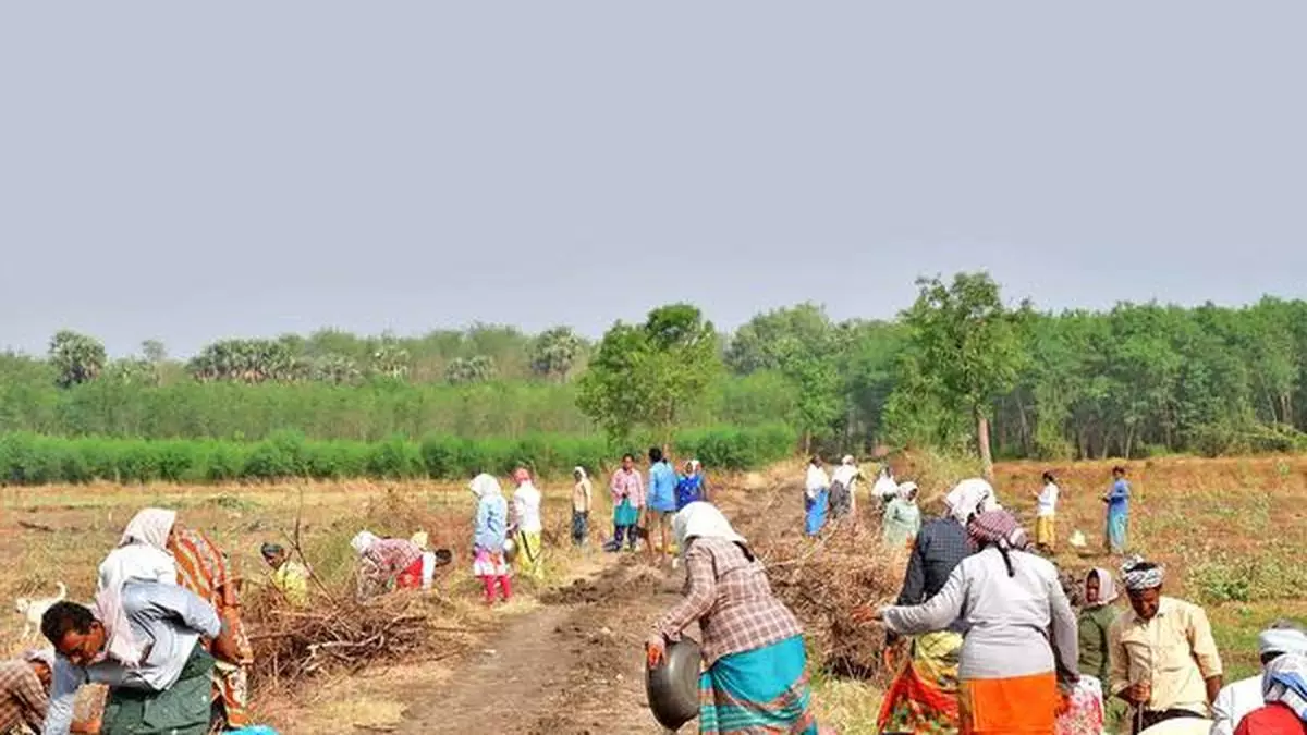 Rural boom to power agri credit to cross ₹28-lakh crore mark in FY25: NABARD