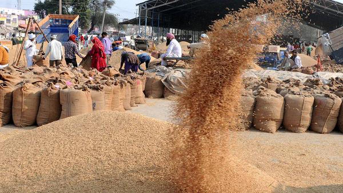 Telangana paddy output set to be highest in 20 years - The Hindu ...