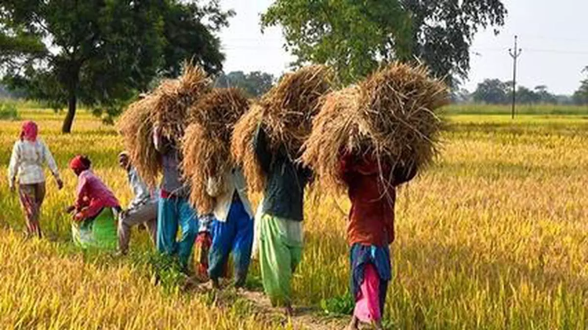 Driving Change: Key agro-innovations shaping India’s farm sector in ...